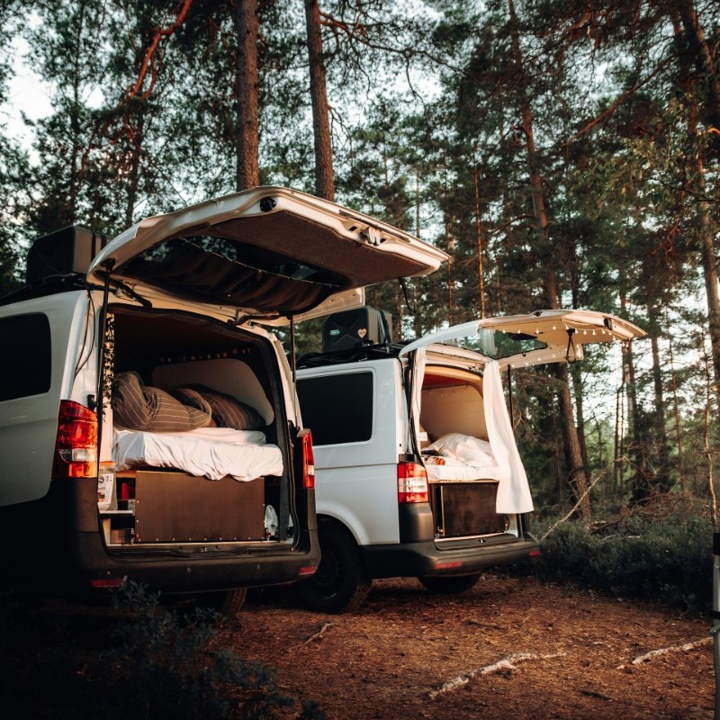 Two campervans parked on a grassy site surrounded by trees.